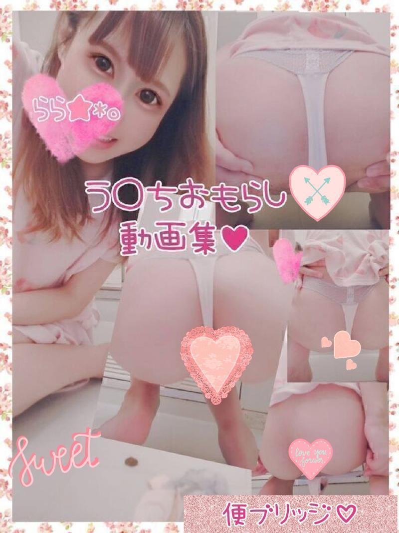 出品者名-写真